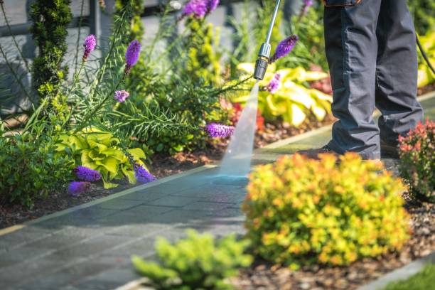 Best Driveway Cleaning and Restoration in Ackley, IA